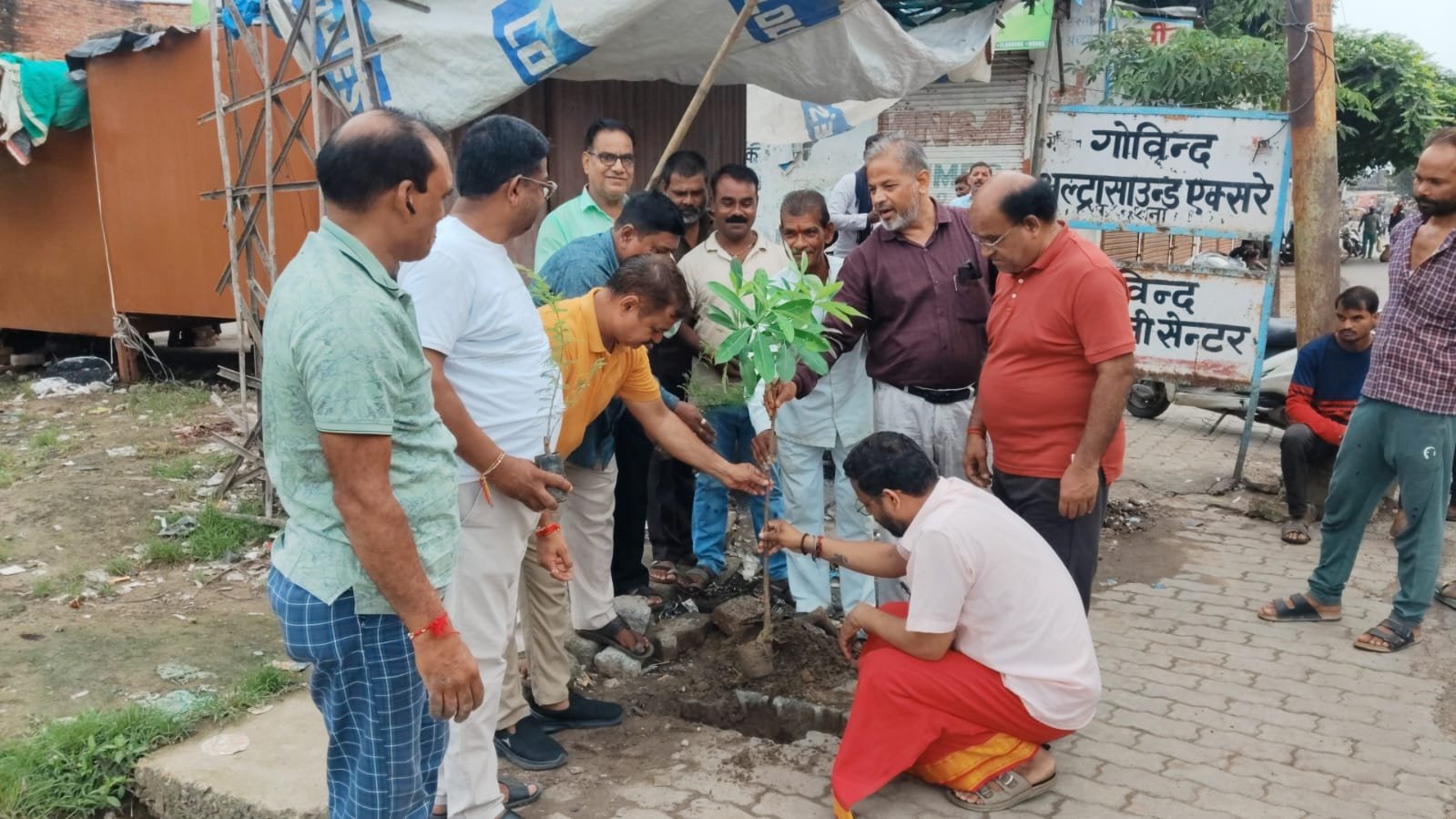 up-auraiya-plantation-shopkeep