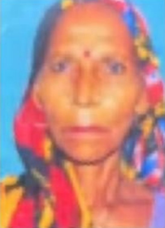 up-bijnor-murder-mother-in-law